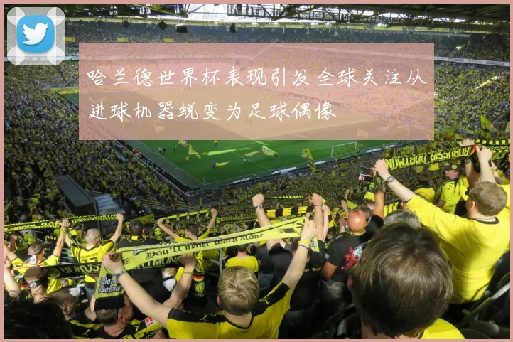 哈兰德世界杯表现引发全球关注从进球机器蜕变为足球偶像